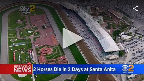 Santa Anita Horse Deaths: 5 Fast Facts You Need to Know.